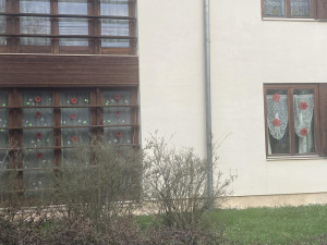 Egy egyszerű, színes, kartonból kivágott virág képes megváltoztatni egy épület arculatát