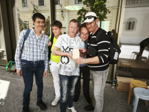 A sóskúti mészkőbe pálmalevél minta készült