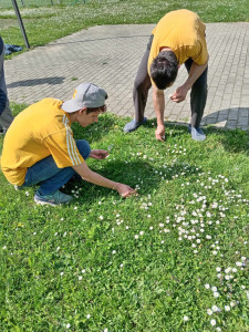 Séta közben jutott idő arra, hogy virágot szedjünk